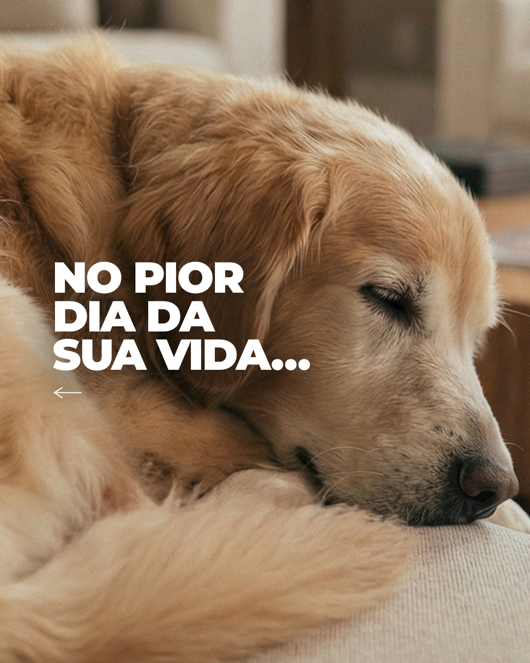 No pior dia da sua vida...