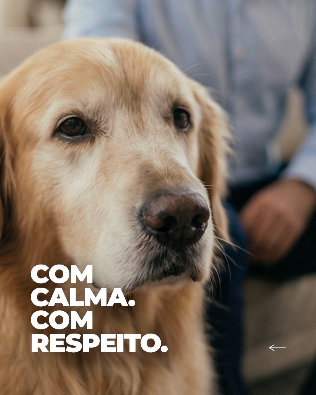Com calma. Com respeito.